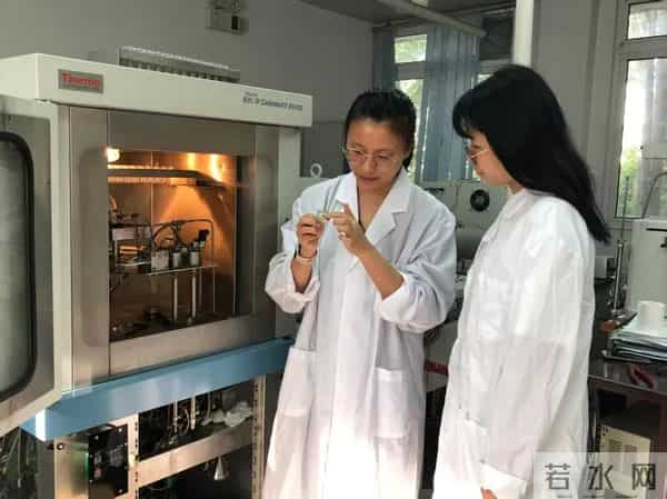 筑梦新时代·巾帼奋进时 - “海上蓝玫瑰”：迎着光，破浪前行——广州海洋地质调查局女科研工作者群体侧记