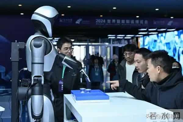 从日租2万暴跌3000元，人形机器人要凉了，大佬一句话戳破真相