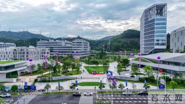 总投资超1亿元!深圳理工大学牵头项目获资助