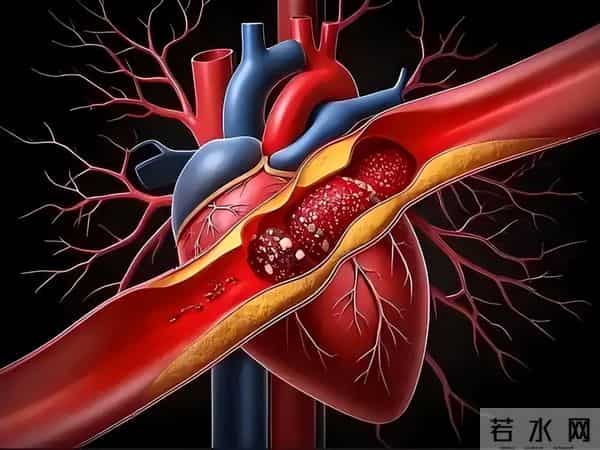 胡萝卜立功了?欧洲科学家从中发现宝藏,补充或可“拨慢”衰老