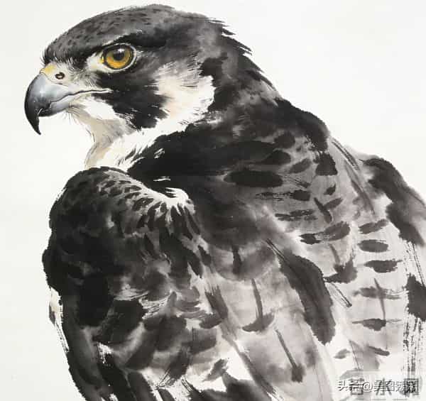 水墨画 游隼