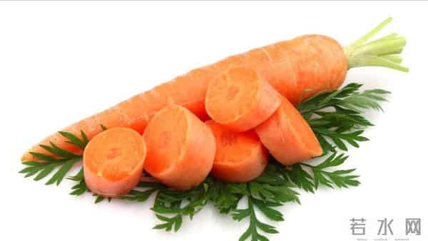 胡萝卜立功了?欧洲科学家从中发现宝藏,补充或可“拨慢”衰老