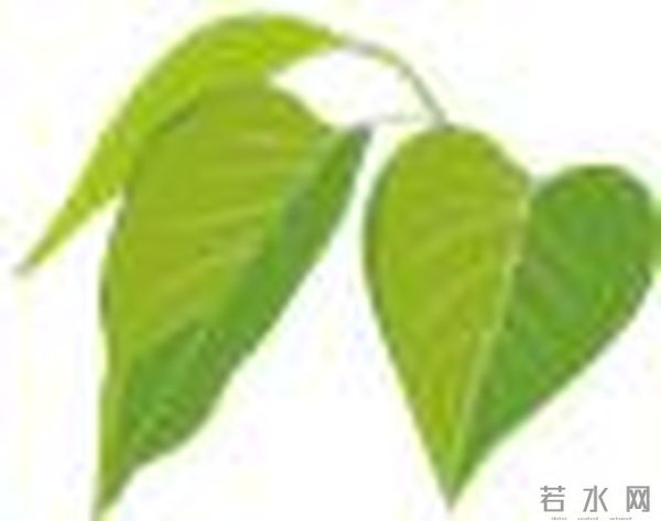 全部中文署名!重庆大学张良奇教授、曾忠教授最新JCP!