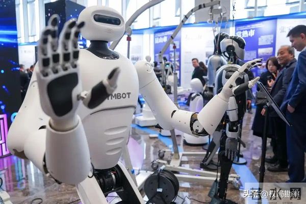 从日租2万暴跌3000元，人形机器人要凉了，大佬一句话戳破真相