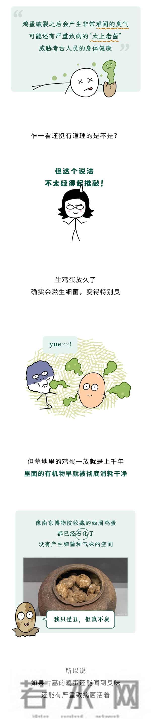 为什么考古学家最害怕挖到鸡蛋？