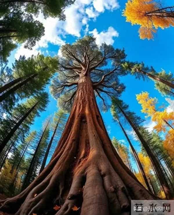 AI周期全面来袭：未来十年普通人将被重新分层，命运分岔就在眼前