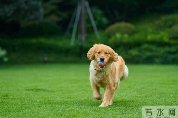 为什么下雪不让用融雪剂了！？