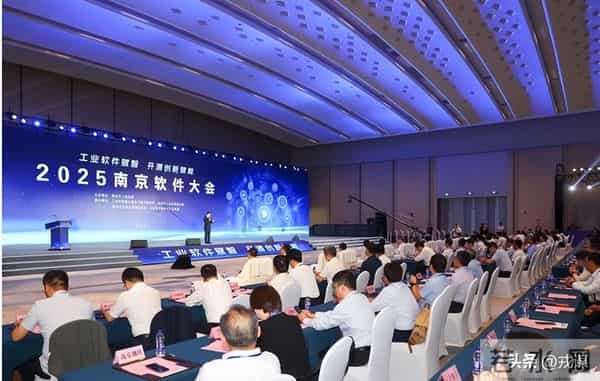 别再吹深圳了！南京用20年，把菜棚变成AI界的明星产区