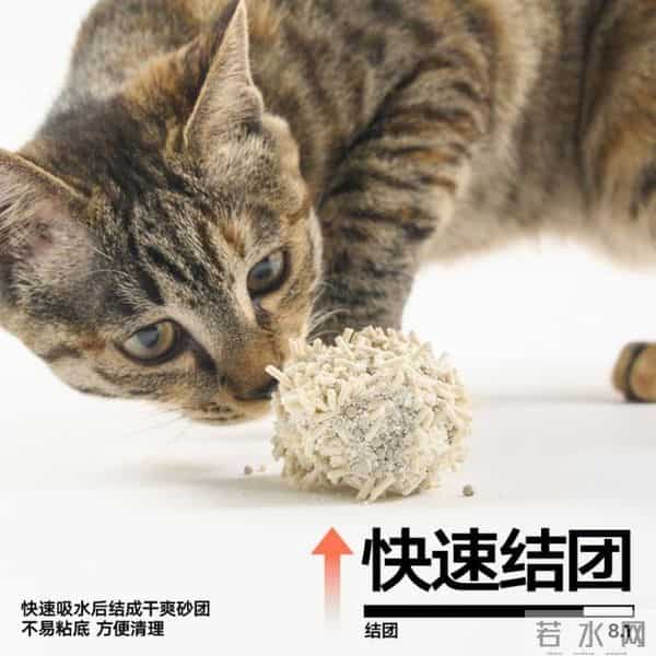 京东宠物百千万爆品计划启动：联合pidan打造确定性产品 单款猫砂月销1500万