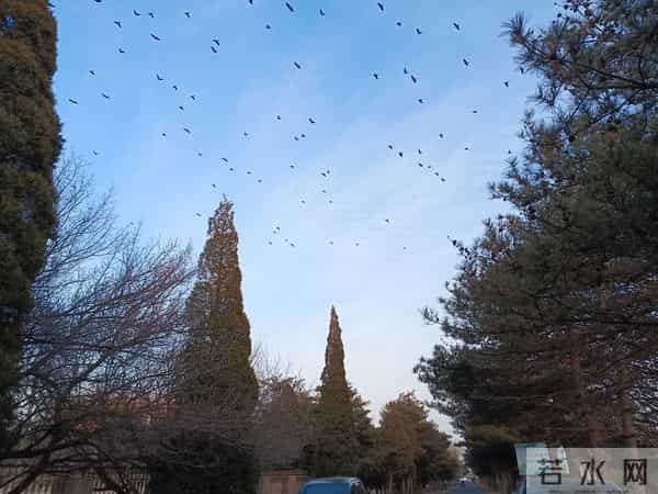 1966年铀矿地质队员在安康县查明一村庄频繁死人的真相