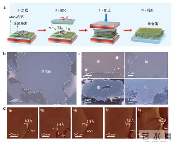 《物理世界》公布2025年度十大突破!中国科学家成果入选