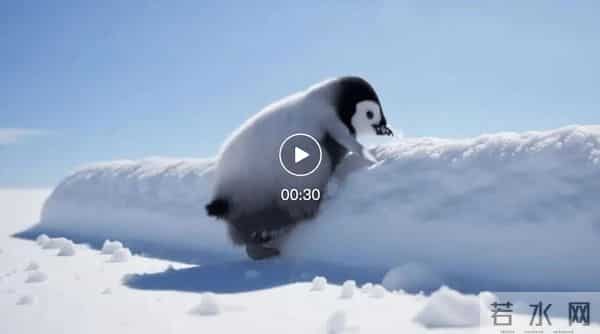 港大开源ViMax火了，实现AI自编自导自演