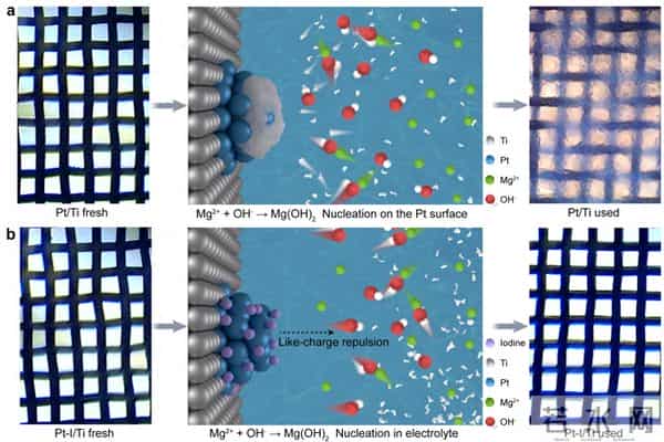 一电两用、一水双收，我国突破海水制氢提镁联产技术