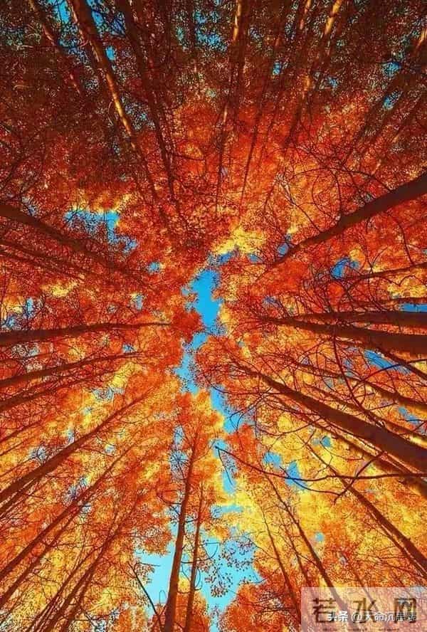 AI周期全面来袭：未来十年普通人将被重新分层，命运分岔就在眼前