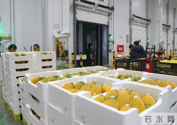 花钱买教训！内容团队跨界做电商，避开这些坑，少走不少弯路