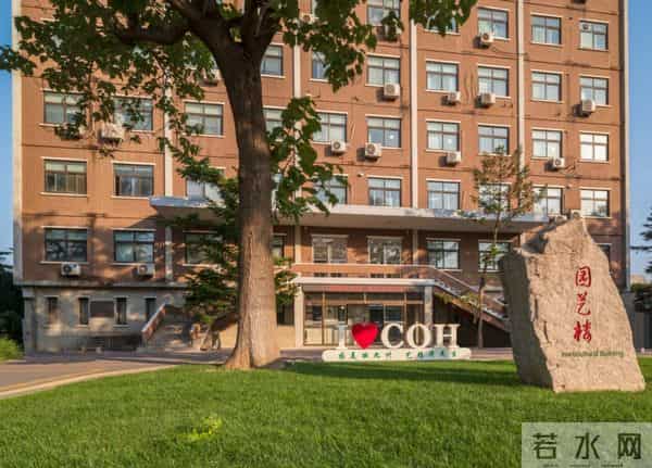 登顶Science！中国农大“女神”教授，攻克未解之谜！