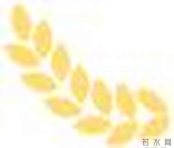 飒爽，C919首位女机长首航！