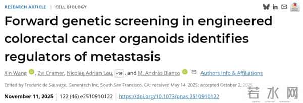 美国团队肠癌类器官最新研究：这两个基因一旦失灵，癌细胞秒变“暴走坦克”