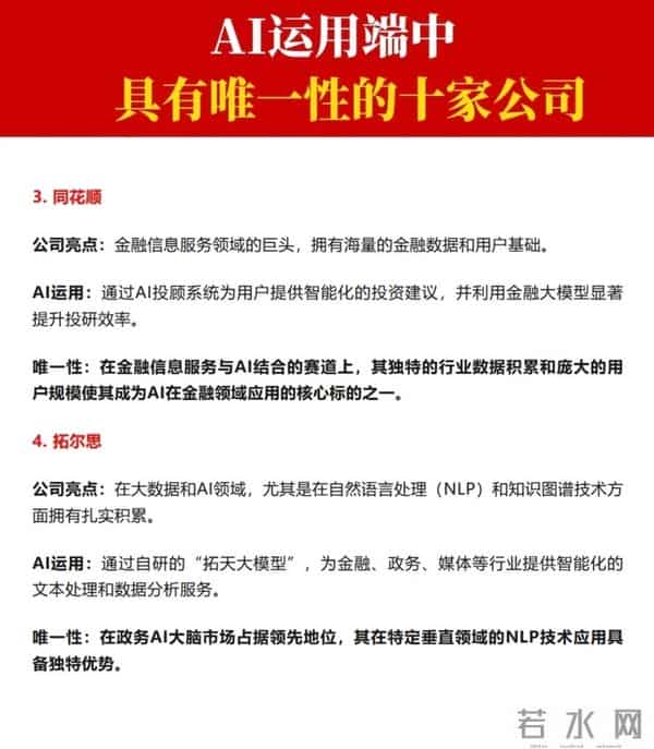 AI运用端，具有唯一性的十家公司