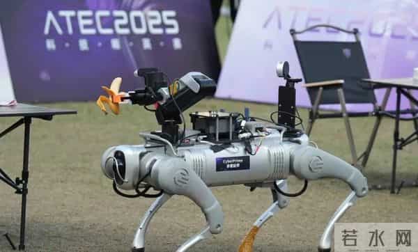 拿个水壶都卡壳！中国顶尖AI在真实世界面前，集体“翻车”了？