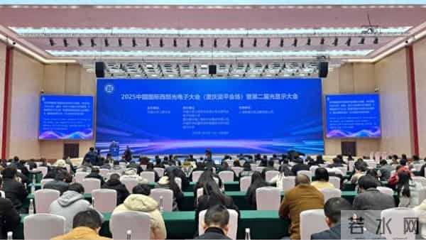 2025中国国际西部光电子大会（重庆梁平会场）暨第二届光显示大会在渝开幕