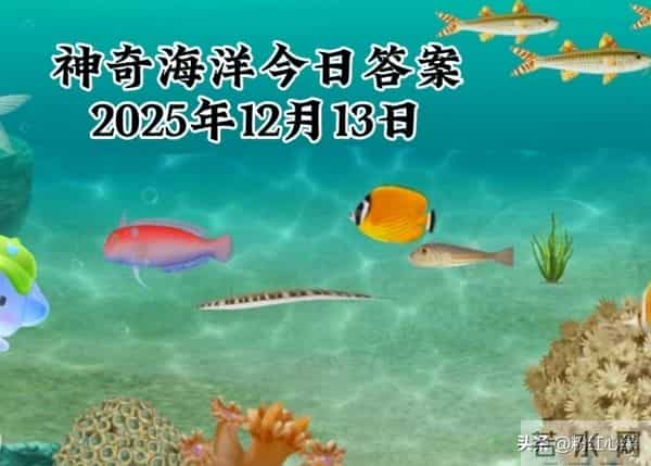 2025年12月13日蚂蚁庄园蚂蚁新村神奇海洋今日最新答案