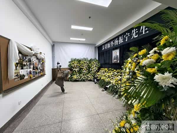 杨振宁离世一个多月，官媒揭开翁帆真实现状，杜致礼妹妹说得很对