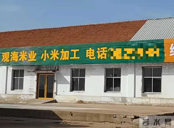 小米村支书被投诉后续：胡锡进犀利点评，冯某清空账号被调查