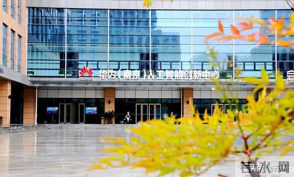 别再吹深圳了！南京用20年，把菜棚变成AI界的明星产区