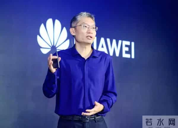 华为的Fellow，被誉为华为内部院士，享受的待遇比国家院士还高