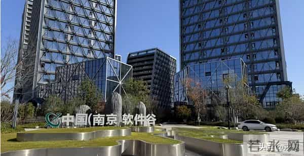 别再吹深圳了！南京用20年，把菜棚变成AI界的明星产区