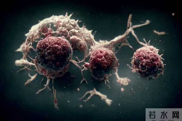 精准爆破癌细胞发电厂：科学家发现“熔毁”肿瘤能量中枢的新机制