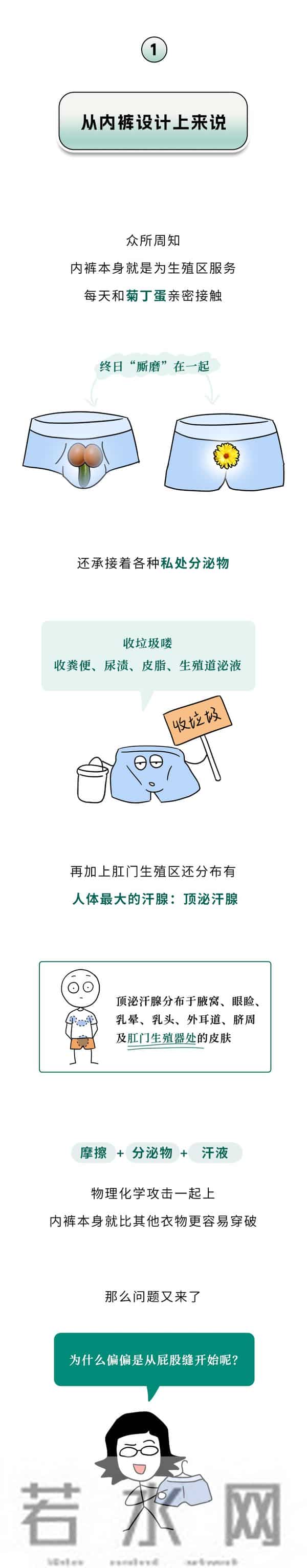 为什么男生的内裤,总是从屁股缝开始变透明?