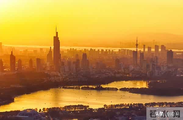 别再吹深圳了！南京用20年，把菜棚变成AI界的明星产区