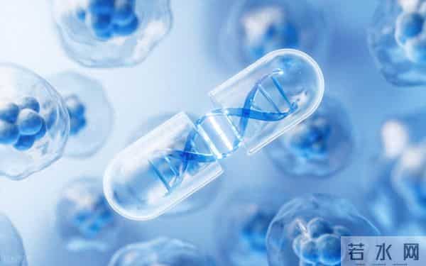 谭天伟院士谈生物制造:当微生物成为21世纪的制造车间