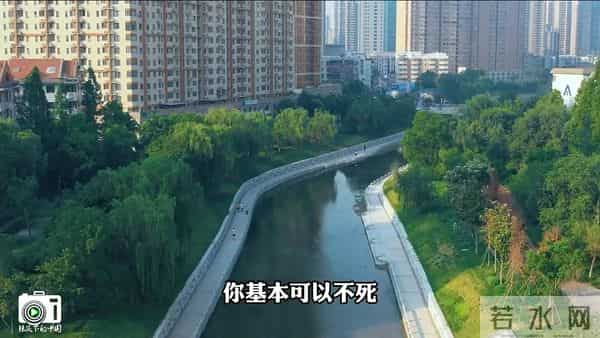 再过20年,很多人可能不用工作了