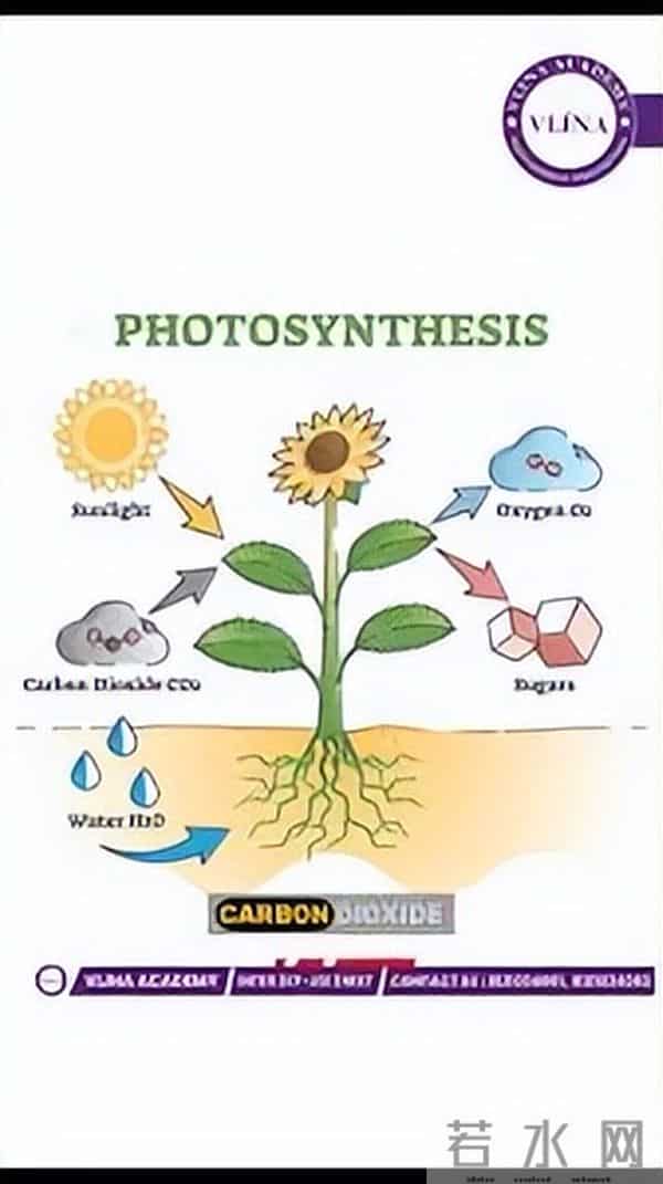 光合作用已改造成功，粮食产量不止翻一倍，粮仓将满爆棚！