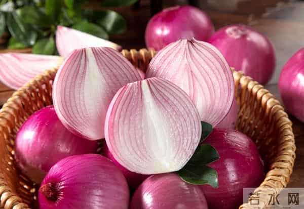 洋葱立大功？医生研究发现：洋葱在一天内清除34%衰老细胞？