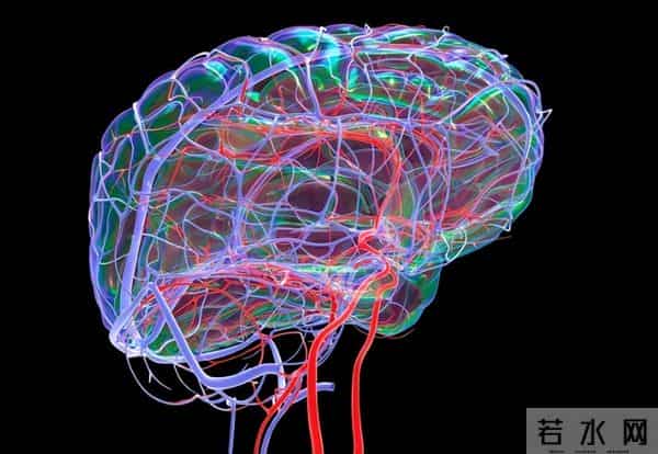 一位意想不到的女人当选中国院士，她的人生颠覆你想象！