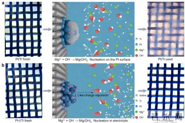 电解海水“制氢+提镁”,一举两得技术在我国获重大突破!
