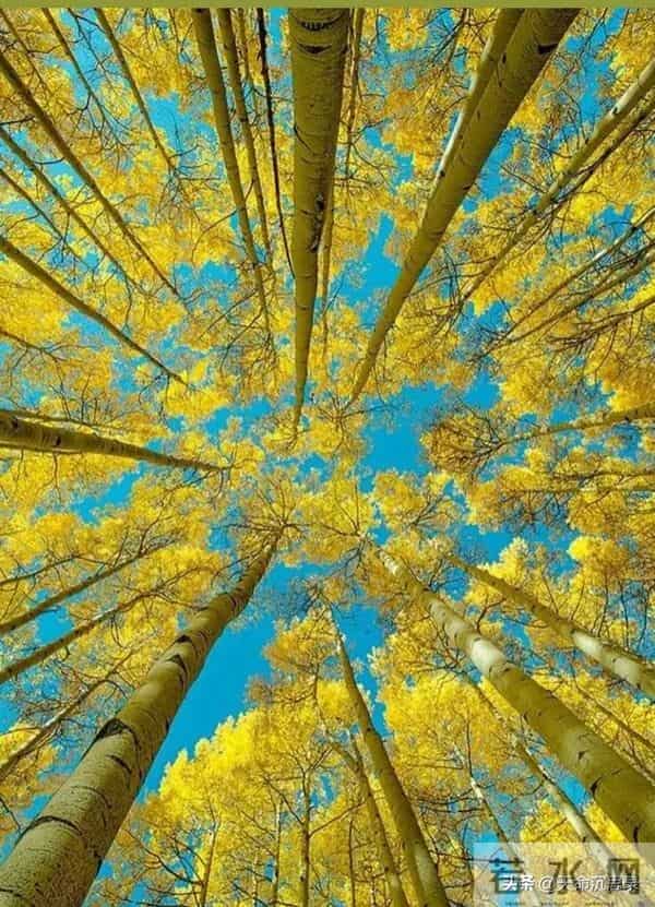 AI周期全面来袭：未来十年普通人将被重新分层，命运分岔就在眼前