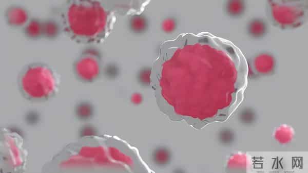 抗衰老新突破!干细胞外泌体调控衰老机制揭秘临床级产品标准落地