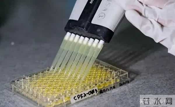 国产光刻胶10家“硬核”公司:一家占市场40%,一家独供28nm产线