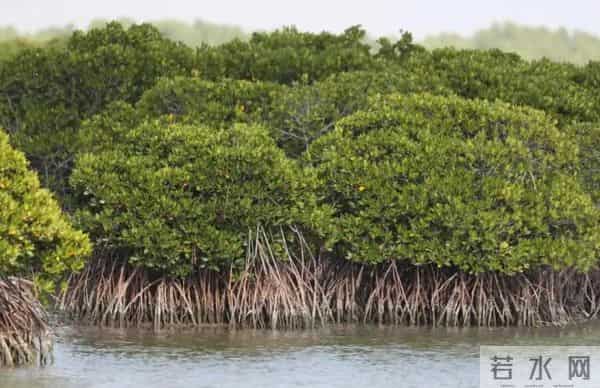 琼州海峡仅19.4公里宽，为何不建一座跨海大桥？是没钱还是没技术