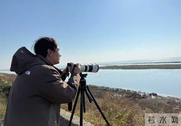 南京：石臼湖变“天鹅湖”，池杉湖成“百鸟天堂”……游人纷纷打卡
