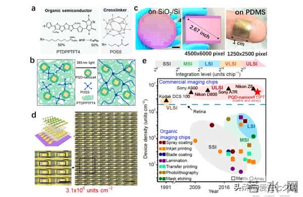 半导体芯片制造核心材料“光刻胶（Photoresist）”的详解；
