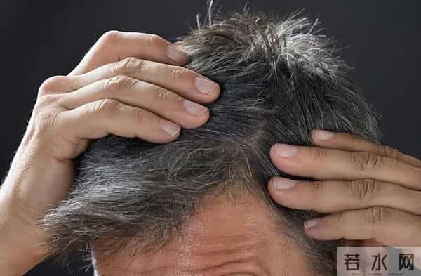 最新研究发现揭秘-头上每一根白发，可能都是抗病防御的外在表现