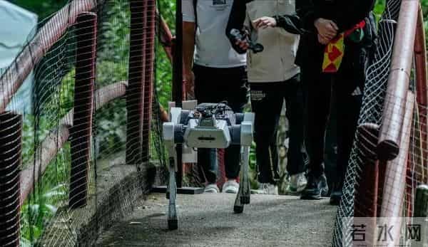 拿个水壶都卡壳！中国顶尖AI在真实世界面前，集体“翻车”了？