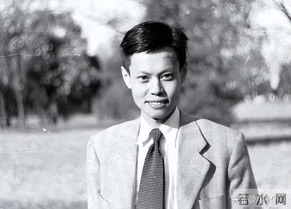 杨振宁离世一个多月，官媒揭开翁帆真实现状，杜致礼妹妹说得很对