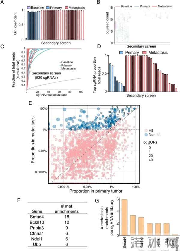 美国团队肠癌类器官最新研究：这两个基因一旦失灵，癌细胞秒变“暴走坦克”